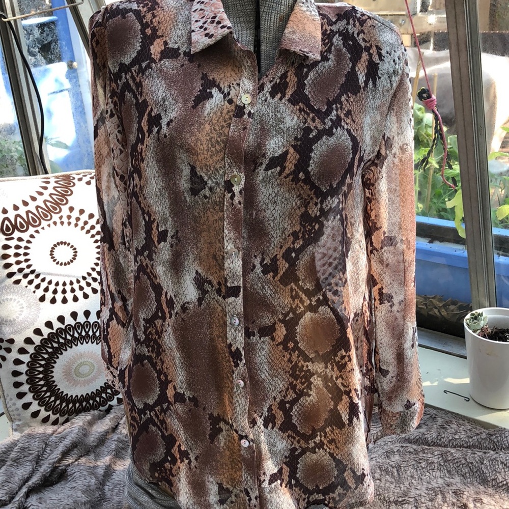 Casual sheer blouse
